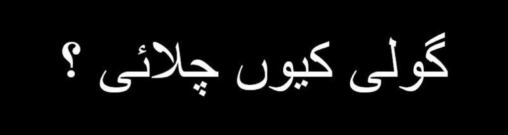 حرام زادو!
گولی کیوں چلائی؟