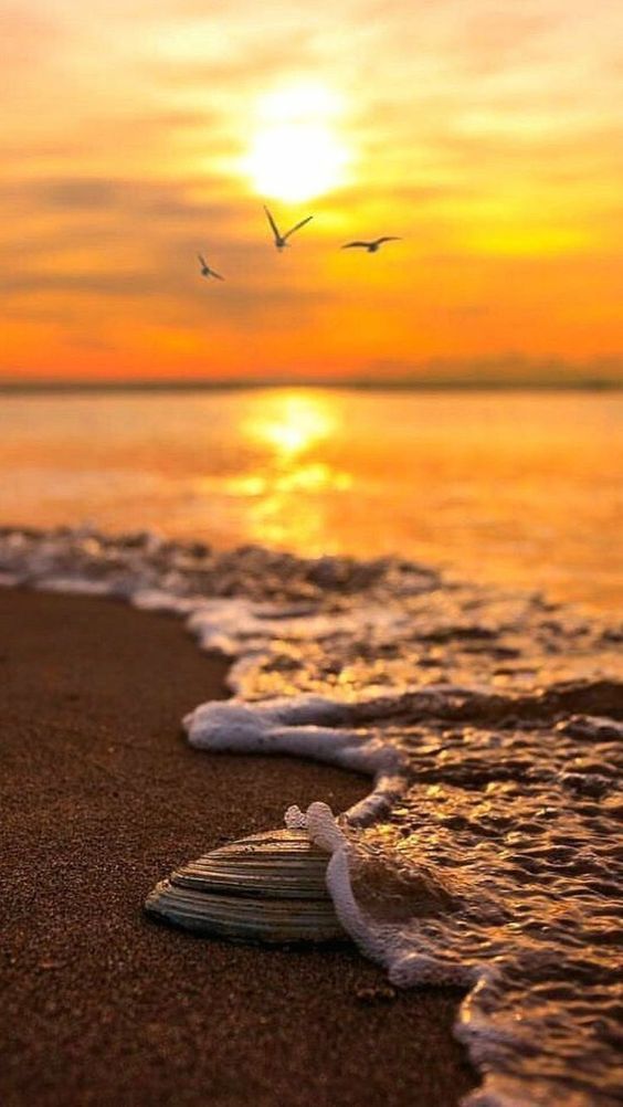 SalehaAzhar5's tweet image. Good evening 🌆 friends ✨