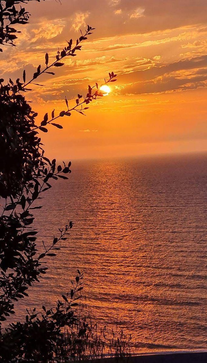 SalehaAzhar5's tweet image. Beautiful sunset 🌆