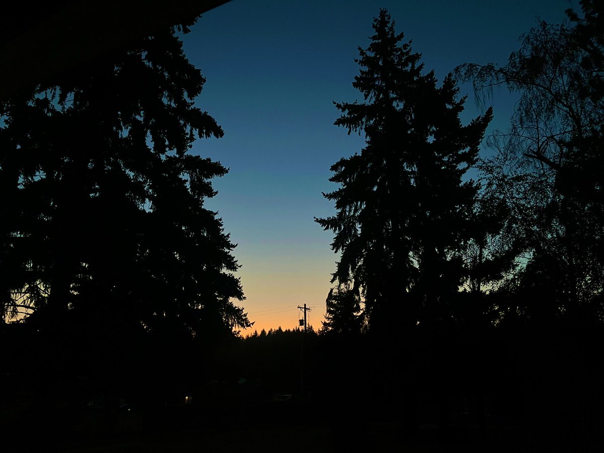 AngloCelticJen's tweet image. These damn kids woke me up to watch the sunrise with them and I can’t even be mad 🤣
But since i am here: