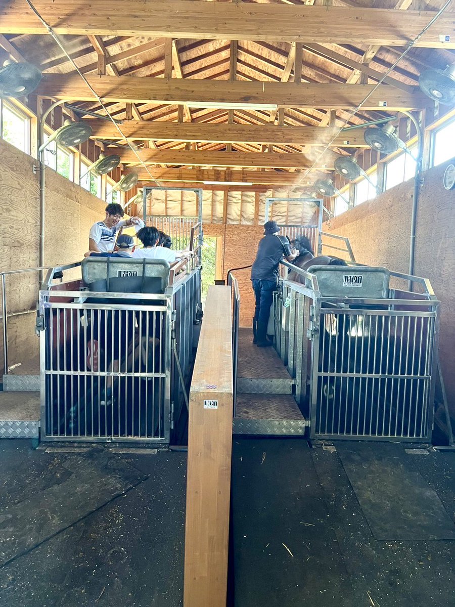 umanmapark's tweet image. 【調教見学ツアーにご招待🏇】
ショップカードが全て貯まったお客様がちらほら!ということで!!
うまんまパークの母体の育成牧場「リバティホースナヴィゲイト」にご招待させていただきました☺️…
