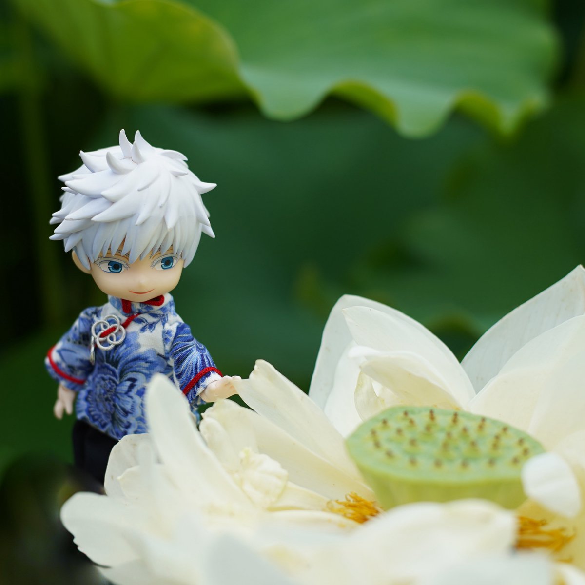 ocohcilal's tweet image. 🪷と五②
白い蓮は清廉なイメージ