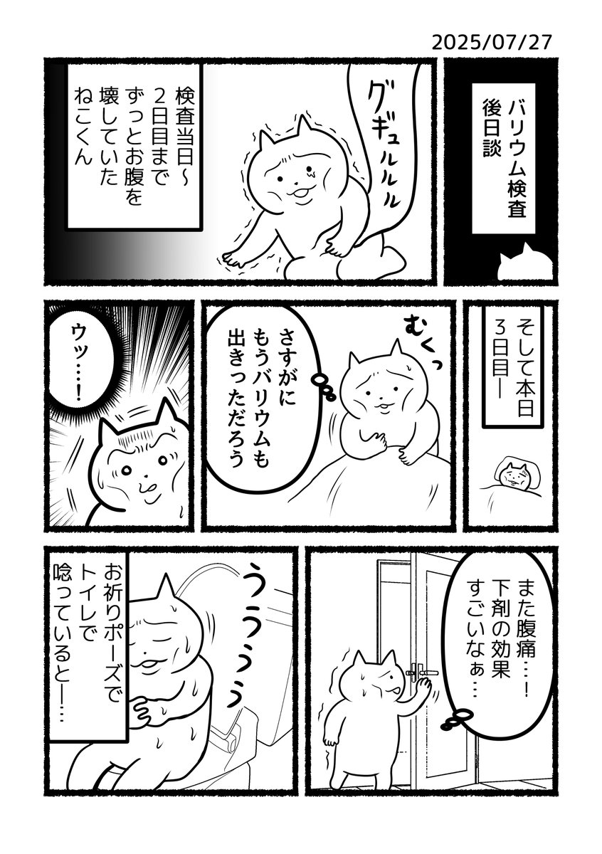 ao144444's tweet image. ねこくんの初バリウム体験記、「後日談」漫画を描きました。※トイレ事情の話なので、お食事中の方や苦手な方は閲覧注意してください💦