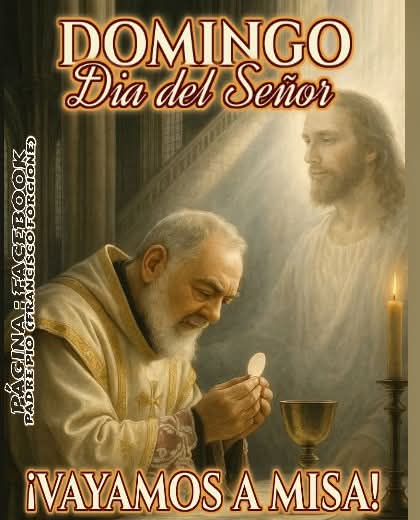 JuntosRecemos's tweet image. 