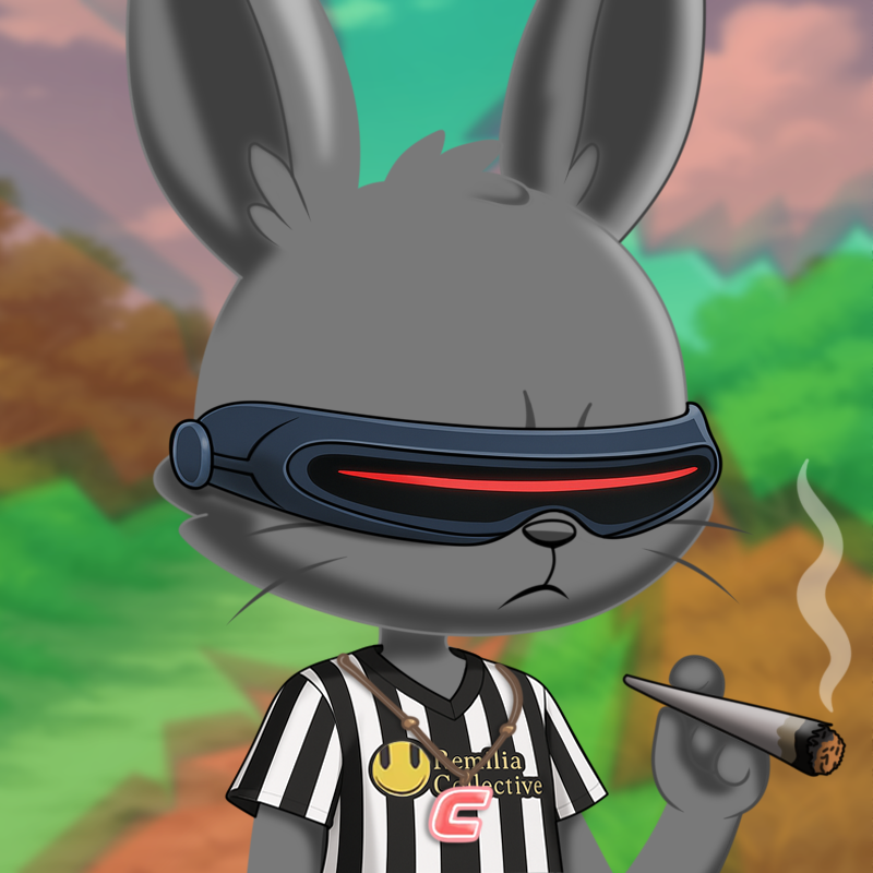 RemikoNFT's tweet image. - Race: Gray Bunny
- Background: sonora
- Shirt: football shirt
- Glasses: cyclops visor
Added:
- Accessory: Joint (now the world’s got that mellow vibe)