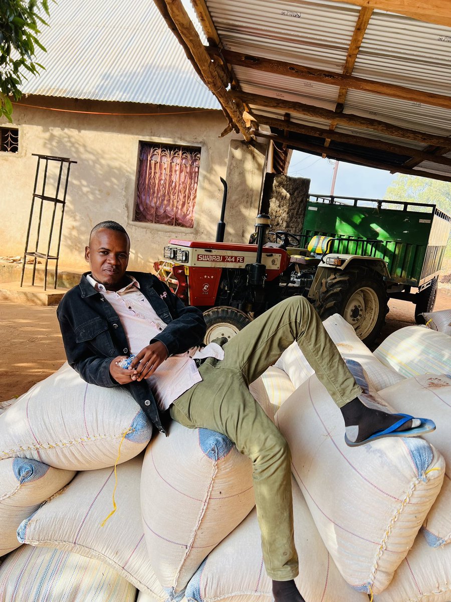 msakufarm's tweet image. Huku Gunia la Mahindi ni 94,000Tsh
Huko Kwenu Bei gani?
#tukaforcechaka