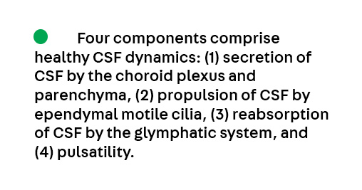 ContinuumAAN's tweet image. Key Point 2 from the article Childhood-onset Hydrocephalus by Dr. Shenandoah Robinson, from the June Disorders of #CSF Dynamics issue, which is available to subscribers at hubs.la/Q03vR49h0.
#Neurology #NeuroTwitter #MedEd