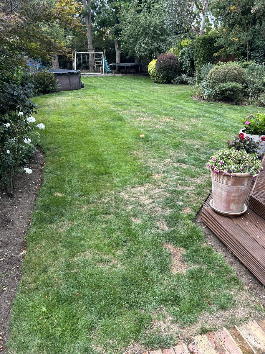 Pleased with my mowing lines on the lawn today. 
Just need more rain to make it green again!!