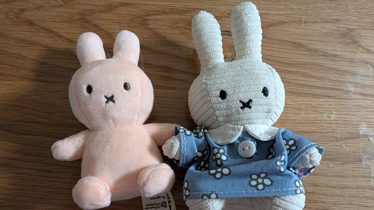 miz7fff's tweet image. ミッフィーのお洋服チャームはBON TON TOYSのキーリングつきミッフィーサイズでした
ラッキーミッフィーちゃんはちいちゃいねえ