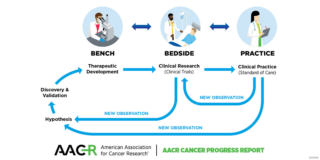AACRFoundation's tweet image. What is cancer research? Learn about the cycle of cancer research and the different areas of science, including basic, translational, clinical, and population research. brnw.ch/21wUswg