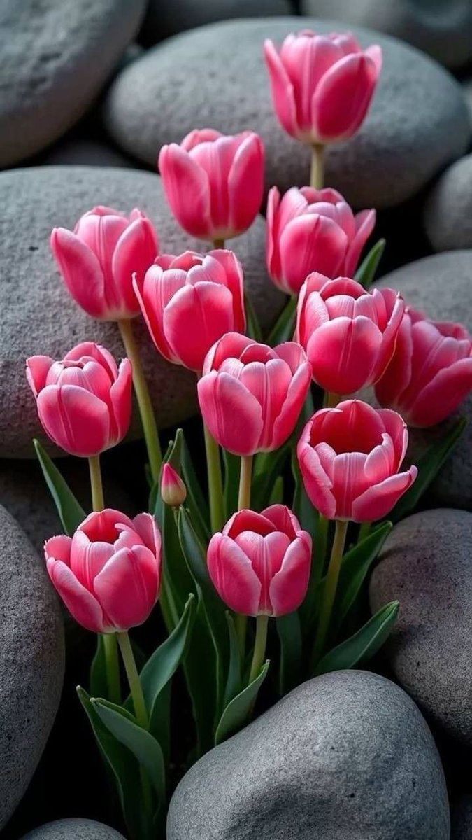 escape056's tweet image. 