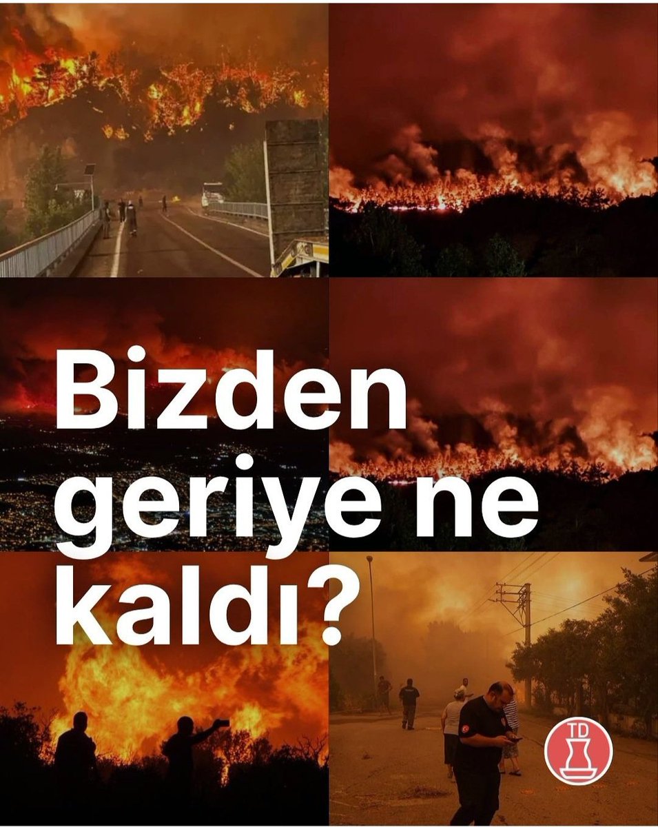 sibelcarbuga's tweet photo. "Doğa ile savaş halindeyiz, kazanırsa kaybedeceğiz... AMA BİZ BAŞINDAN BERİ KAYBETTİK. " 
Ağaçlar sessizce yanarken, kuşlar gökyüzüne kaçarken... Yapabildiğimiz tek şey, içten içe, içli içli ağlamak 🥺
#yangınvar https://t.co/LIDSoLClUr