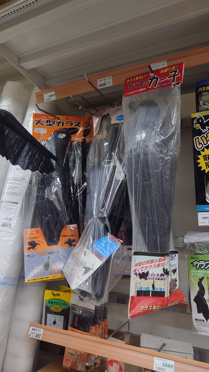 ちなみに私がここで言っているのは、鳥の死体をそのままかかしとして用いるものや、デコイを仲間の死体だと思わせるタイプの防鳥具とはいささか異なります。猛禽類など捕食者たる鳥類(生きている鳥)をモチーフとしているものがイメージに近いです。