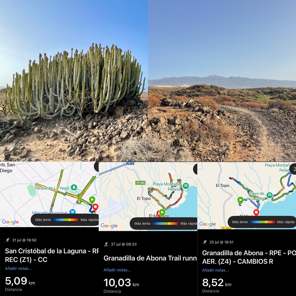 Domingo=5.09+10.03+8.52=23.64k para <a href="/KMSxELA/">KMSxELA</a> 🏃🏽‍♀️‍➡️⛰️Hoy tocó sumar para <a href="/KMSxELA/">KMSxELA</a> entre piedras y cardones, por medio de paisajes áridos, ocres y recios. Colores tan diferentes del verde Anaga y tan de aquí de nuestro Sur. El fin es el mismo, sacar el ruido de la cabeza.