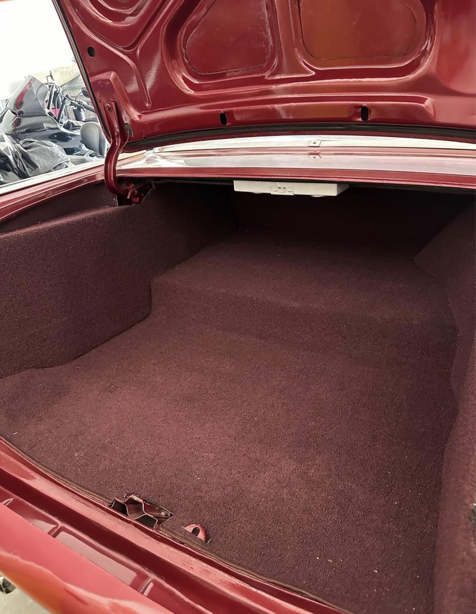 cutigs1's tweet image. He wants $30k ….     I need It….   😈