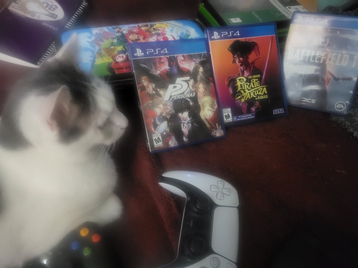 MothQueenMoon's tweet image. Gamer cat. He's gonna pown newbz in CoD