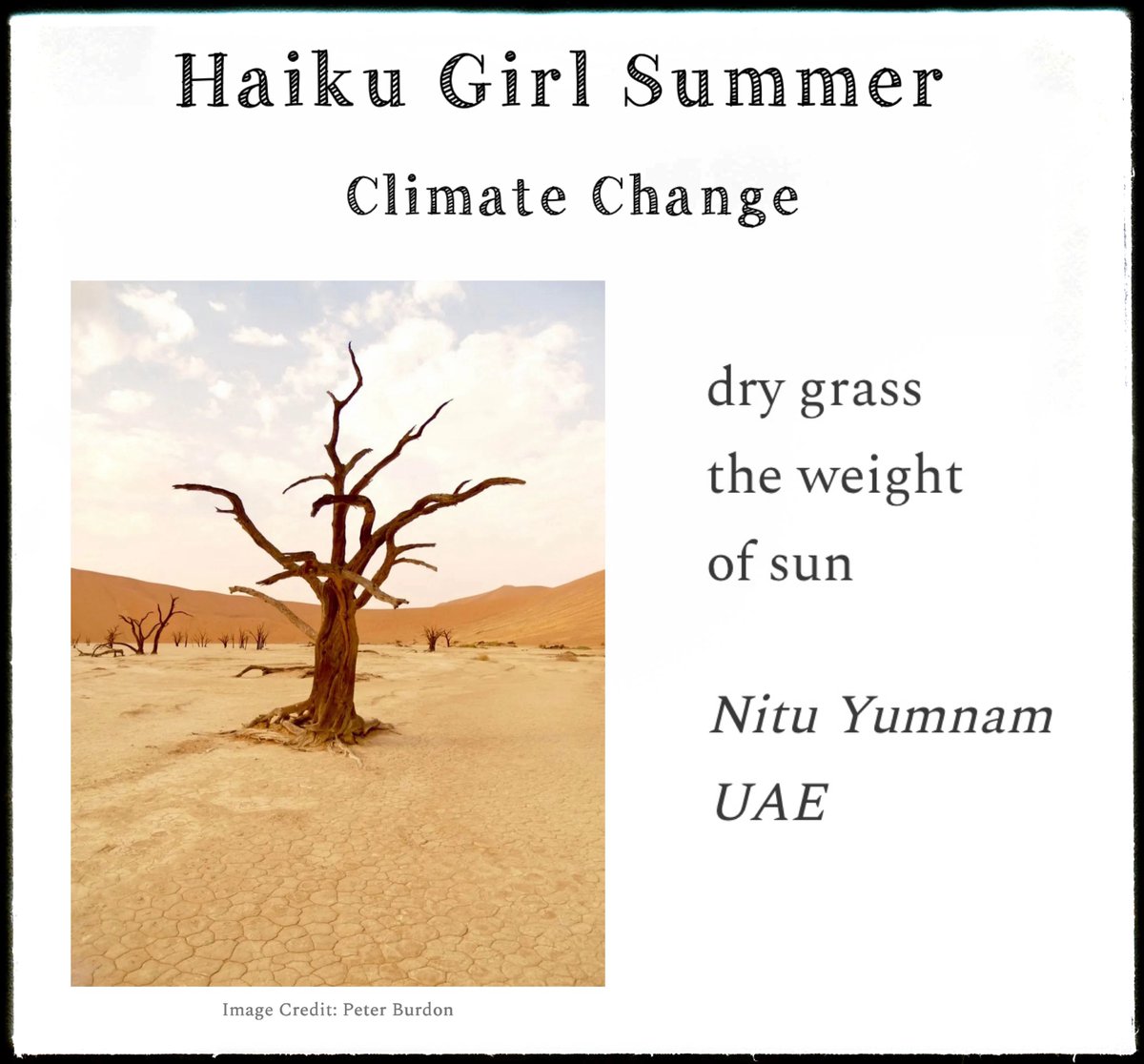 A stillness captured. Thanks to Allyson Whipple and Katherine E. Winnick for giving this haiku a place in Haiku Girl Summer.

haikugirlsummer.substack.com/p/climate-chan…