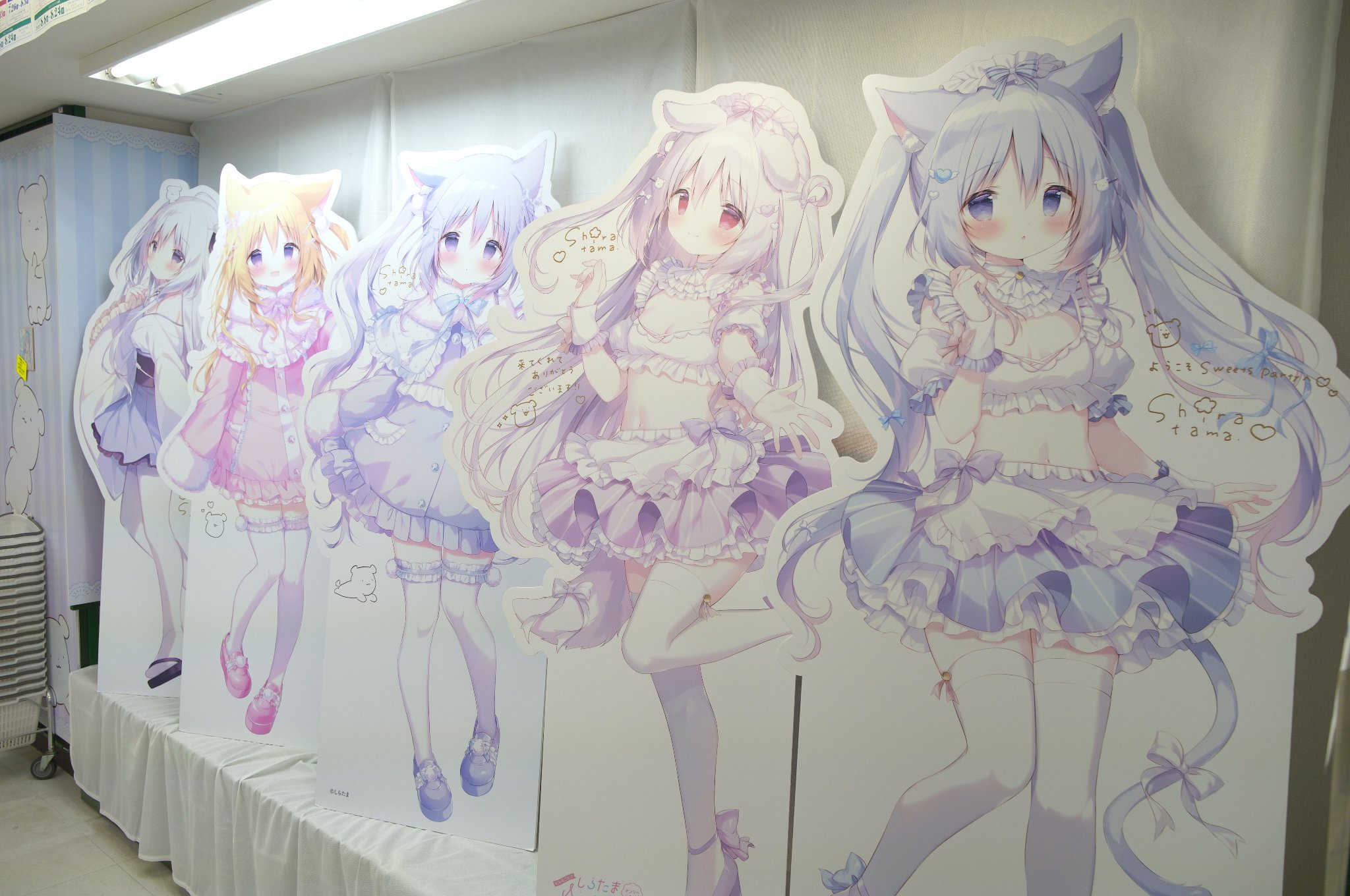 しらたま しろいいぬ 等身大タペストリー 未開封 【公式通販】