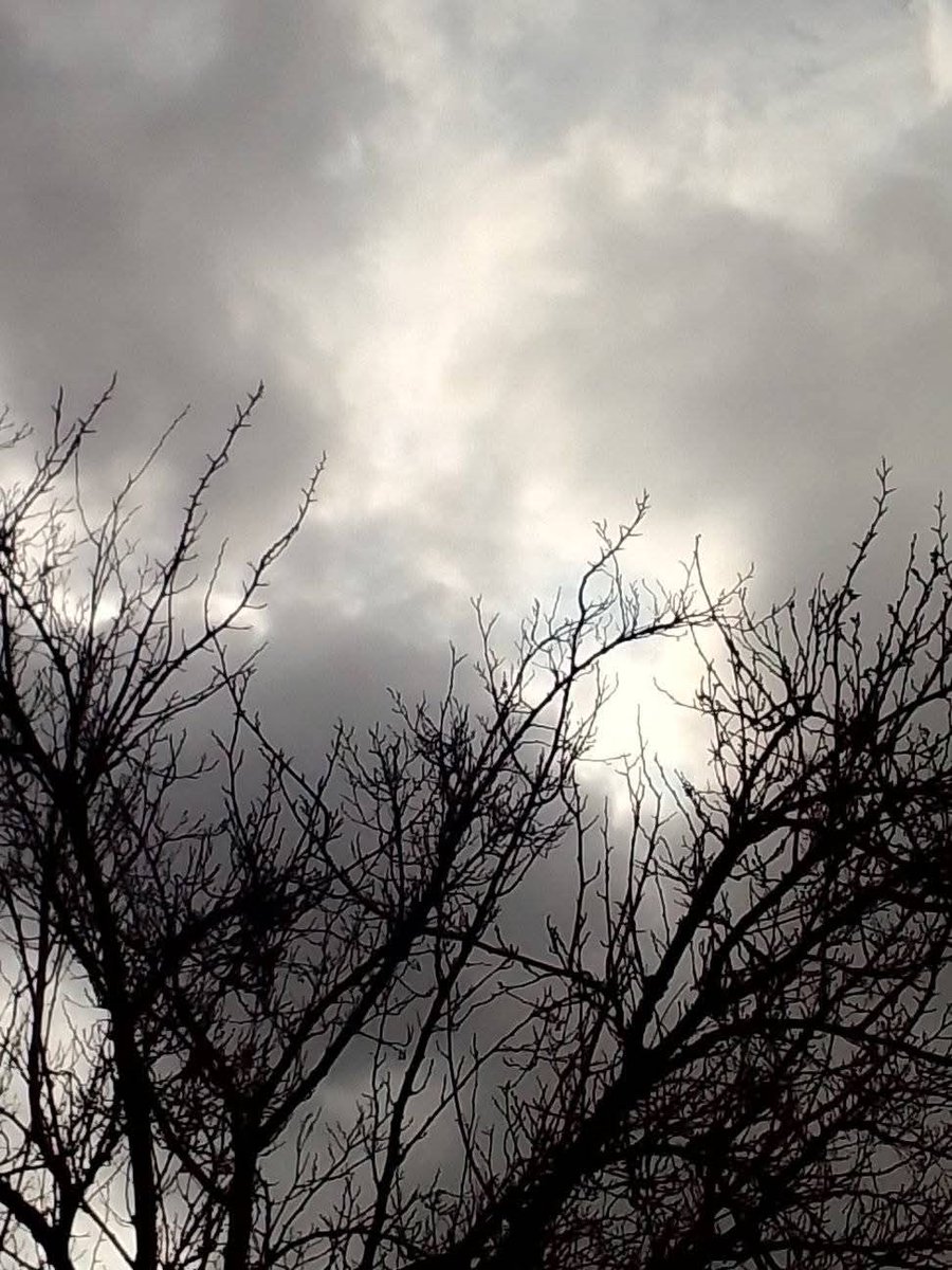 ReenvalSA (@reenvalsa) on Twitter photo Polokwane📷Louisa Van Niekerk <a href="/peoples_weather/">People°s Weather</a> <a href="/SAWeatherServic/">SA Weather Service</a> <a href="/VoxWeatherZa/">Vox Weather</a> <a href="/AgriSA1904/">Agri SA</a> <a href="/landbou/">landbou.com</a> Polokwane📷Louisa Van Niekerk <a href="/peoples_weather/">People°s Weather</a> <a href="/SAWeatherServic/">SA Weather Service</a> <a href="/VoxWeatherZa/">Vox Weather</a> <a href="/AgriSA1904/">Agri SA</a> <a href="/landbou/">landbou.com</a>