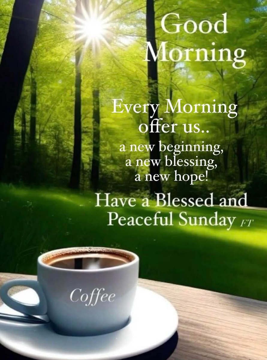 Good morning everyone! Enjoy your day! ❤️