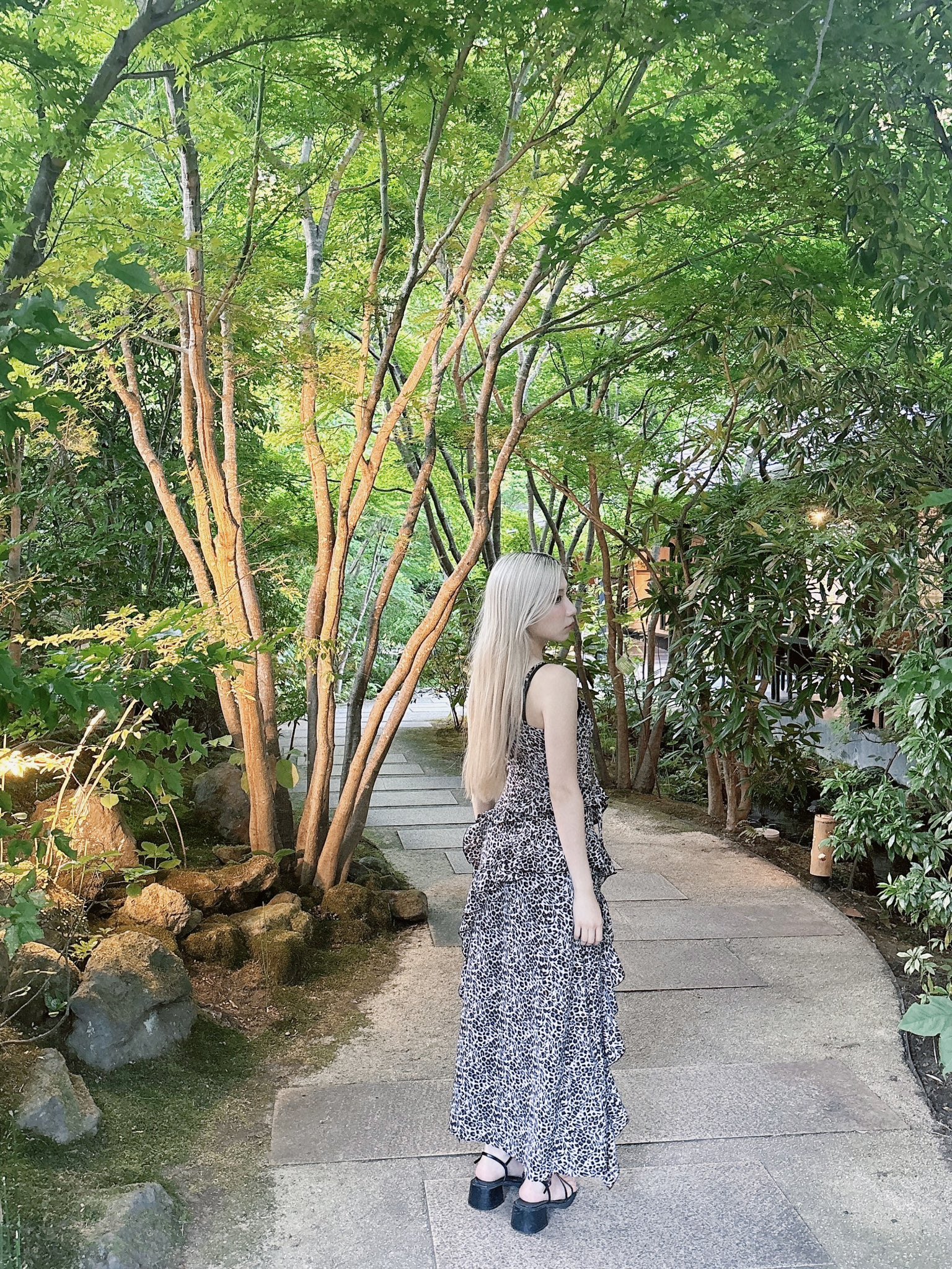 MAYU (@tadai_mayuchan) / X