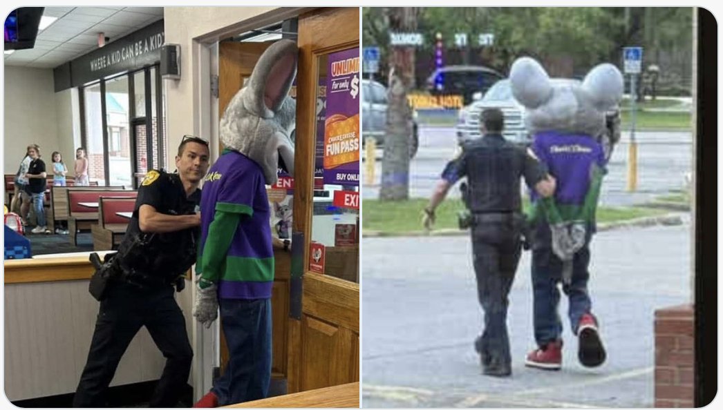 Re-reviewing Gingrich et al. on pregnant rats exposed to SSRIs, and the potential long-term effects on  offspring...and this pops up in my feed:

"Chuck E. Cheese handcuffed and arrested for credit card fraud."

(Gen-Xers might recall that Chuck E. was originally a rat).