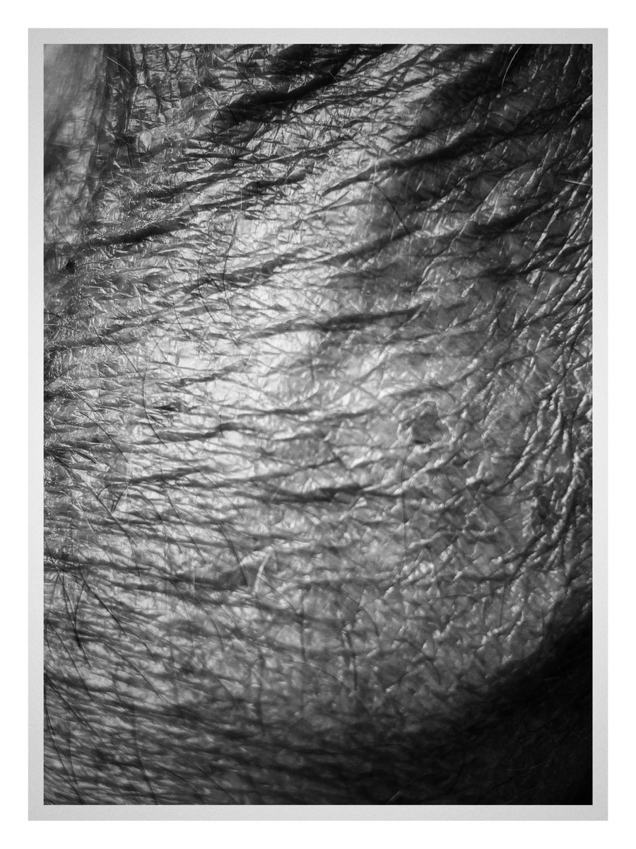 olbil's tweet image. Corpus~2
Extra wrinkle technique applied
@Gallery365photo
#Gallery365in2025JulyBrandt
#Gallery365in2025DailyPrompt