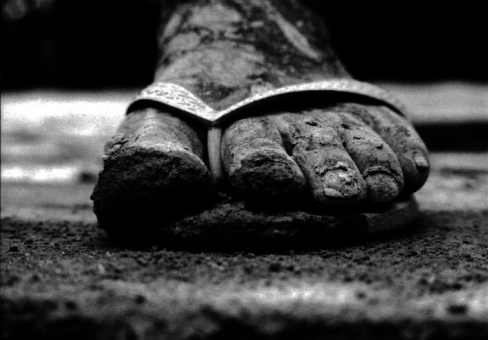 TheBnWWorld's tweet image. B&amp;amp;W SUNDAY SHOWCASE

(🖤🤍: @coelho10_lk)