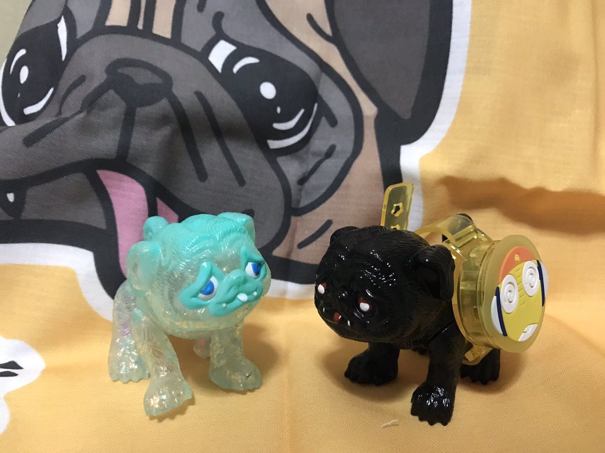 パグ獣🐶あきぱぐ🐶WF2-17-01 (@pugchaa) / X