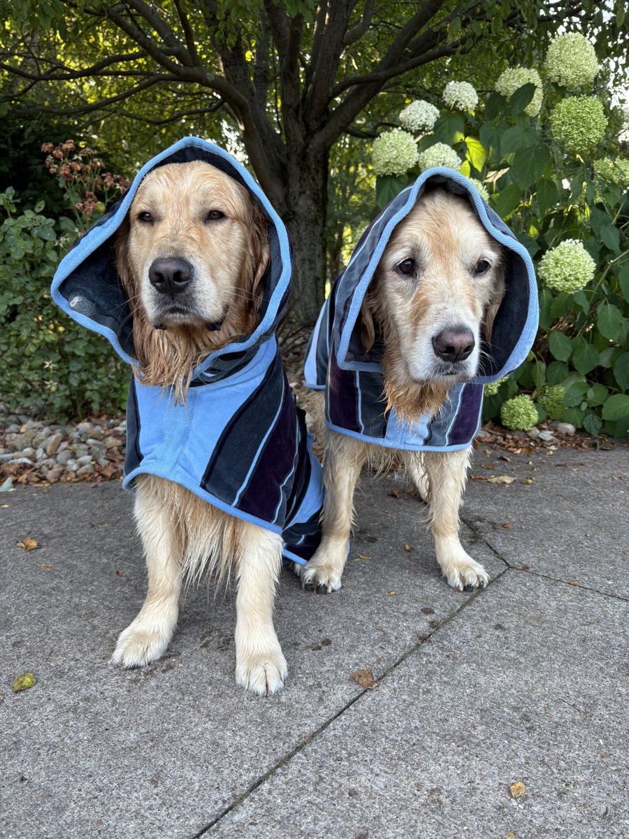 What were we doing yesterday?  
Glad you asked…
We were minding our own business and then this happened! 
#lessmurraymorewalter
#lessmurraylessbaths
