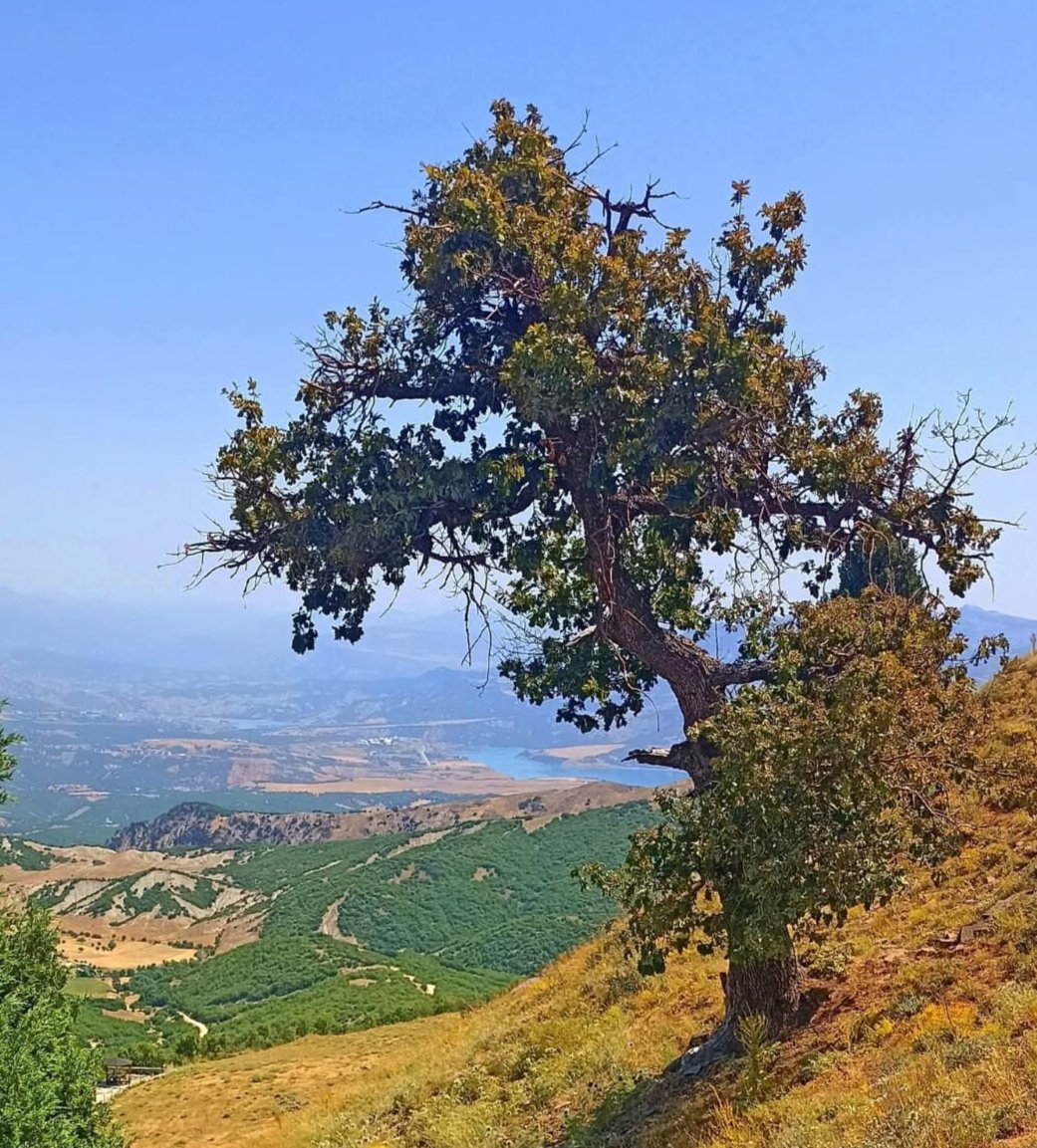 Doğa ve huzur