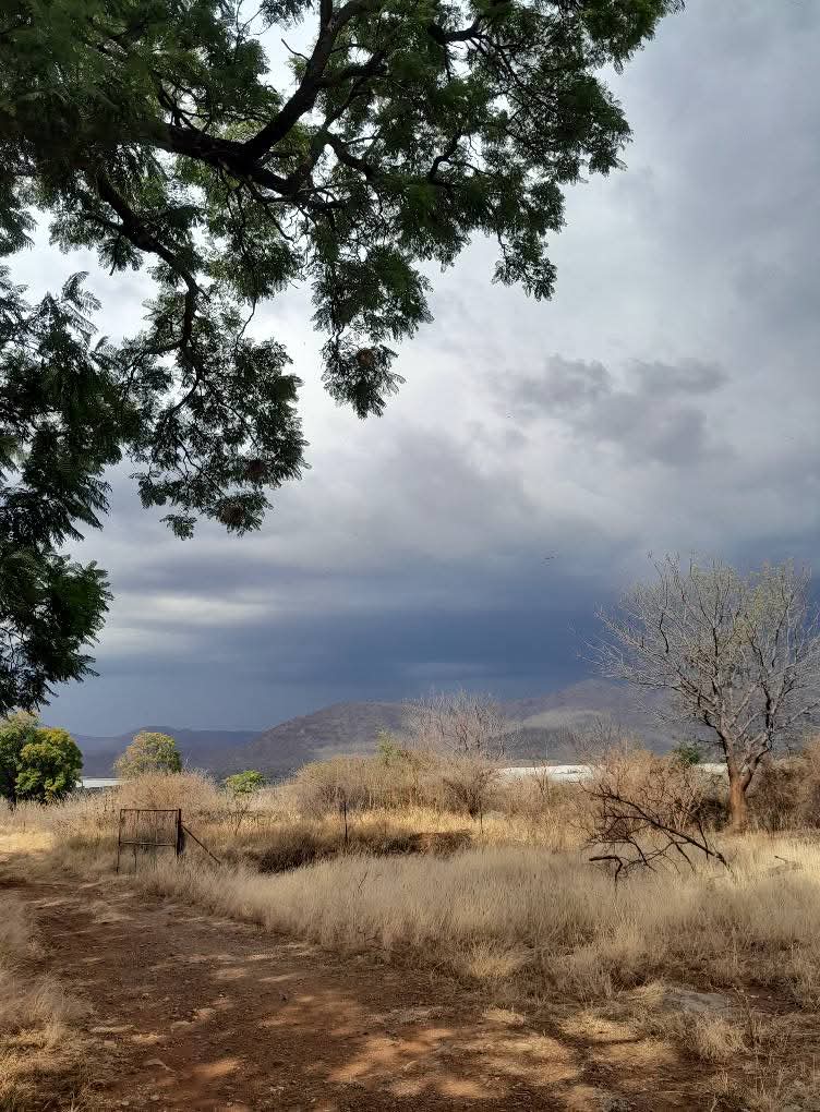 ReenvalSA (@reenvalsa) on Twitter photo Baie ongewone weer, donderweer erg. Net buite Burgersfort.📷Neels Lombard <a href="/peoples_weather/">People°s Weather</a> <a href="/SAWeatherServic/">SA Weather Service</a> <a href="/VoxWeatherZa/">Vox Weather</a> <a href="/AgriSA1904/">Agri SA</a> <a href="/landbou/">landbou.com</a> Baie ongewone weer, donderweer erg. Net buite Burgersfort.📷Neels Lombard <a href="/peoples_weather/">People°s Weather</a> <a href="/SAWeatherServic/">SA Weather Service</a> <a href="/VoxWeatherZa/">Vox Weather</a> <a href="/AgriSA1904/">Agri SA</a> <a href="/landbou/">landbou.com</a>