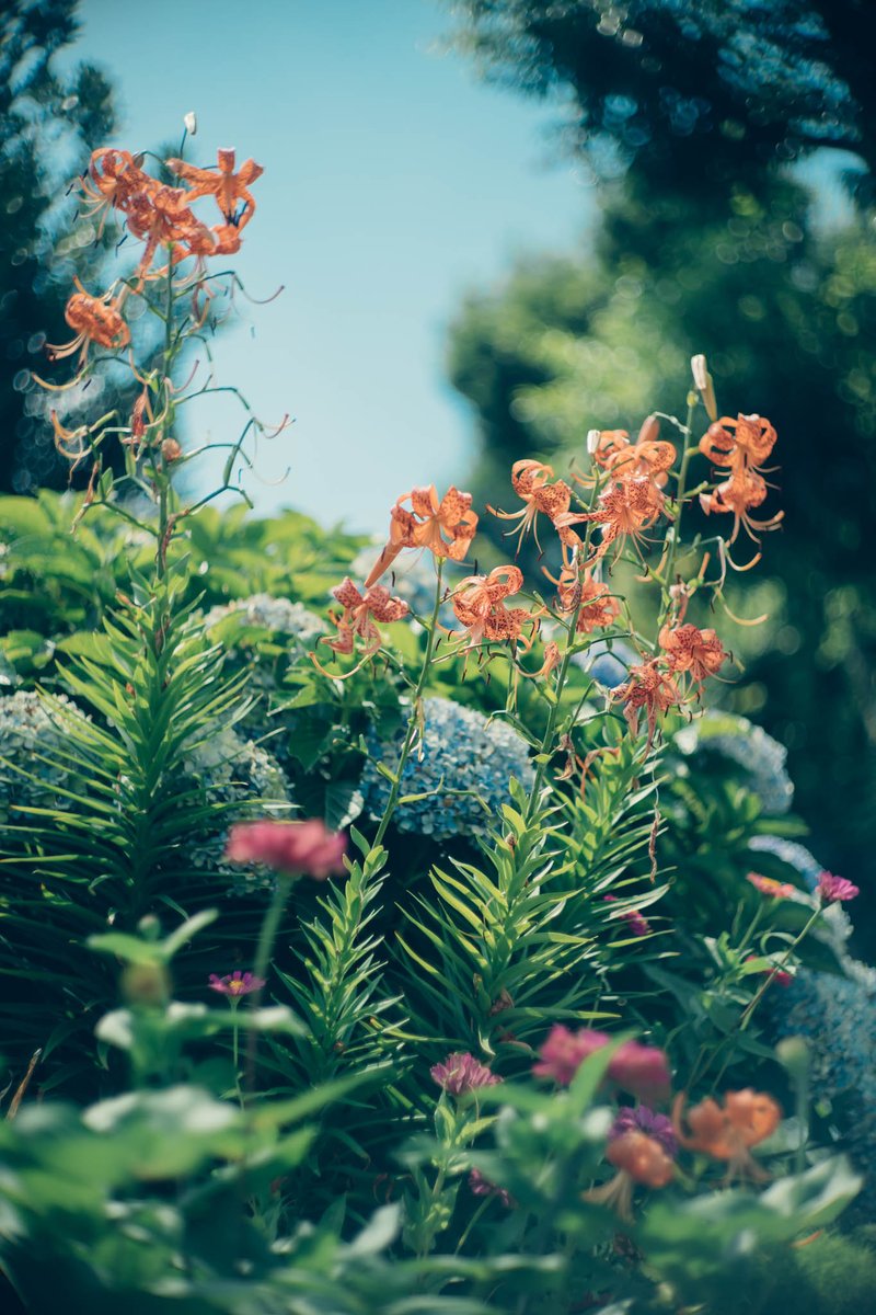 yakatagirl's tweet image. 