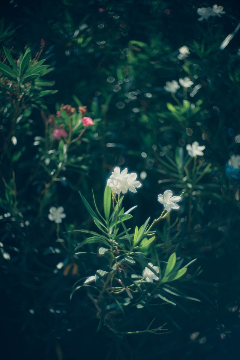 yakatagirl's tweet image. 