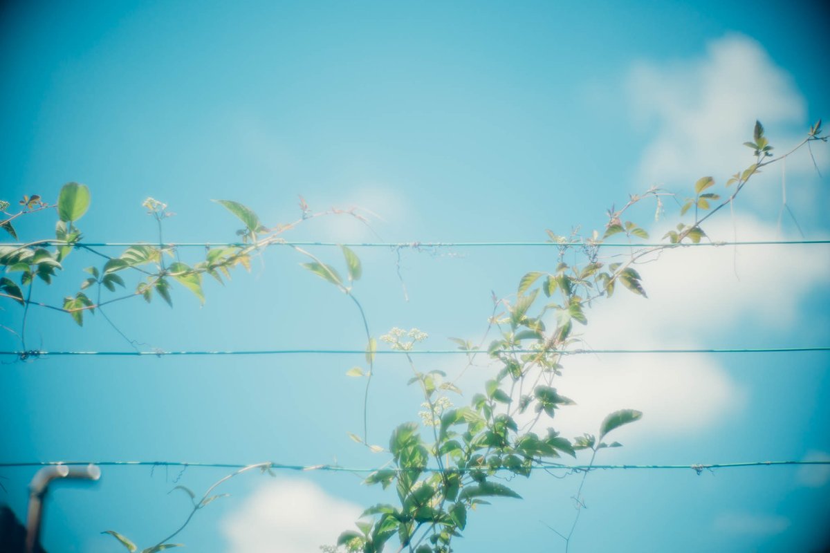 yakatagirl's tweet image. 