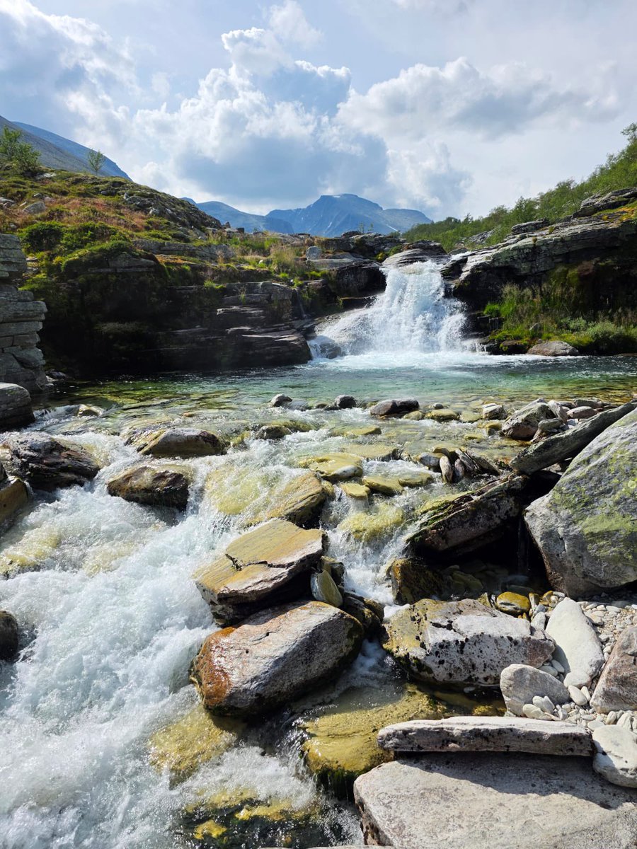 Ferdaminne fra Rondane, sommeren 2025 ✨🥾💚 #liveterbestute #dnt