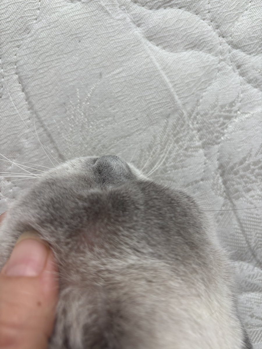 hacer_inn's tweet photo. Kızım kavgaya mı karışmış nolmuş:( https://t.co/y7oWMu1Iry
