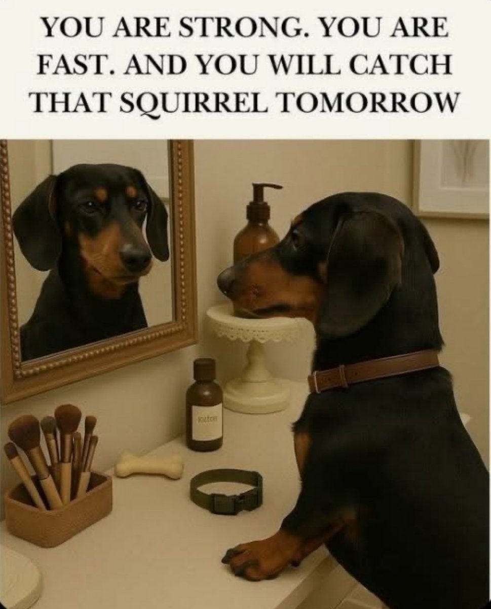 Kellykellam's tweet image. Whatever your “squirrel” is, I hope you catch it.
