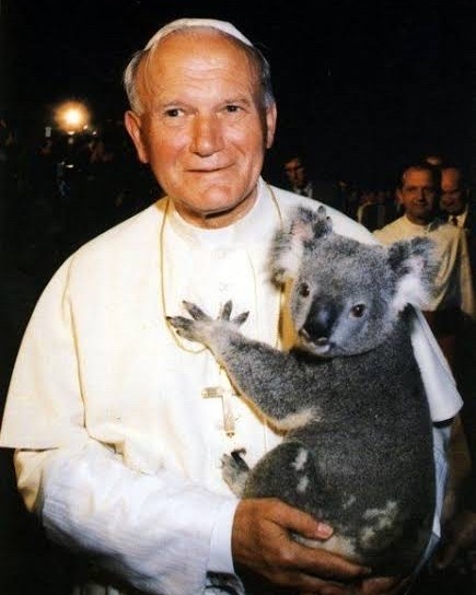 godsplaining's tweet image. Bear-ing witness like it’s 1986 🐨🇦🇺