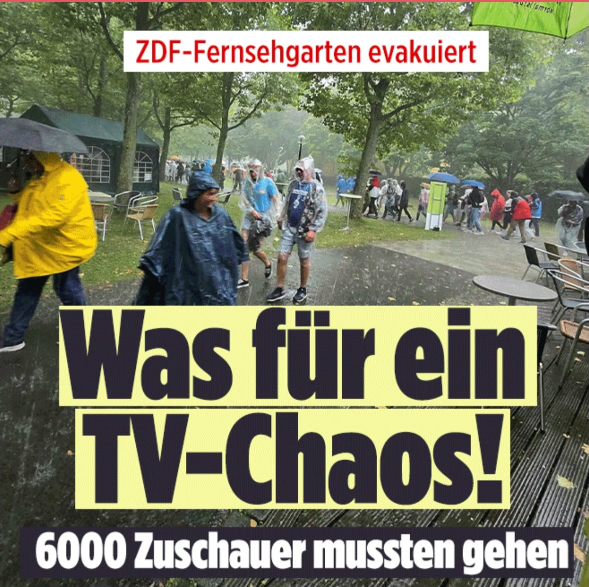 Jetzt ist es ZDF-amtlich:

Die Dürre fällt dieses Jahr ins Wasser 🥳