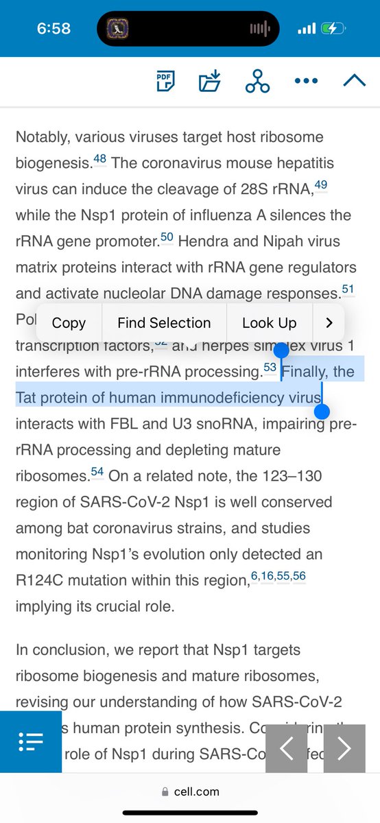 <a href="/BirdieBittern/">BirdieBittern</a> <a href="/TC_Africa/">The Conversation Africa</a>