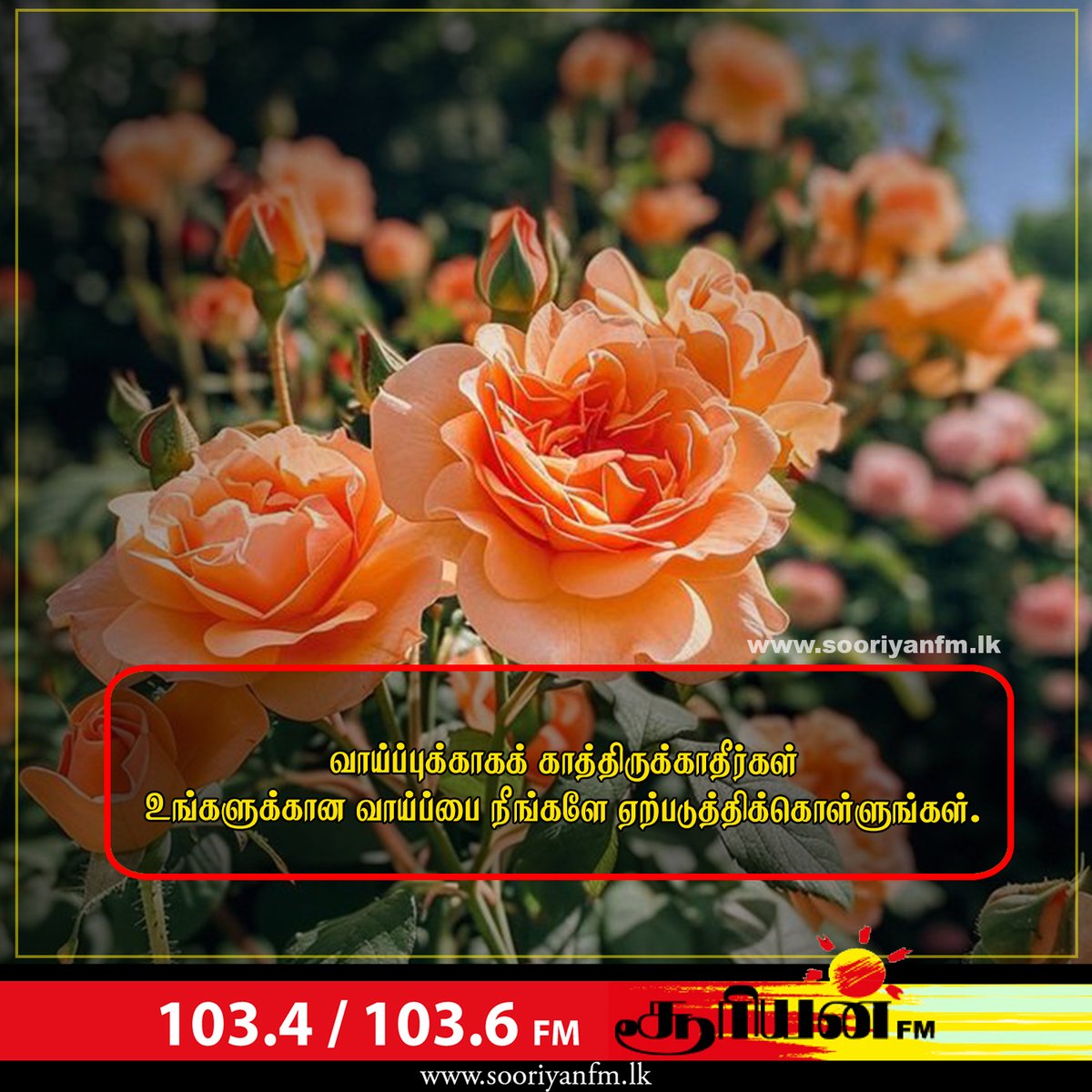 SooriyanFMlk's tweet image. #SooriyanFM | #MotivationalQuote | #haveaniceday