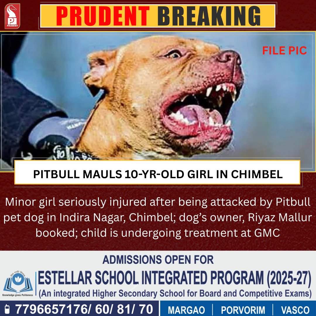 Minor girl seriously injured after being attacked by Pitbull pet dog in Indira Nagar, Chimbel; dog’s owner, Riyaz Mallur booked; child is undergoing treatment at GMC

#Goa #Chimbel #Pitbull #Attack