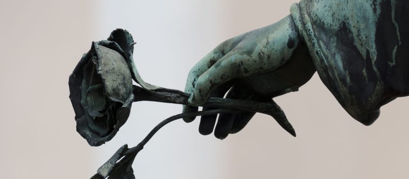 Anna Wilde tweet media