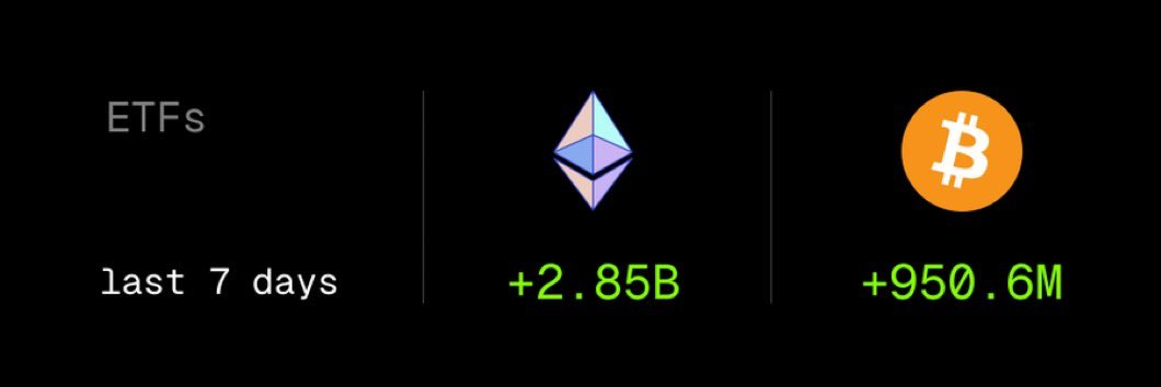 AltcoinMiyagi's tweet image. ETF inflows tell the entire story. Do you understand where the smart money is positioning. 

They did the same thing with $BTC before it went parabolic. We are about to have the biggest $ETH szn in history.