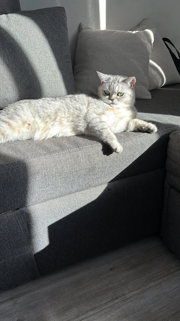 الرحلة نحو الحلم أهم من الوصول إليه. 🌟