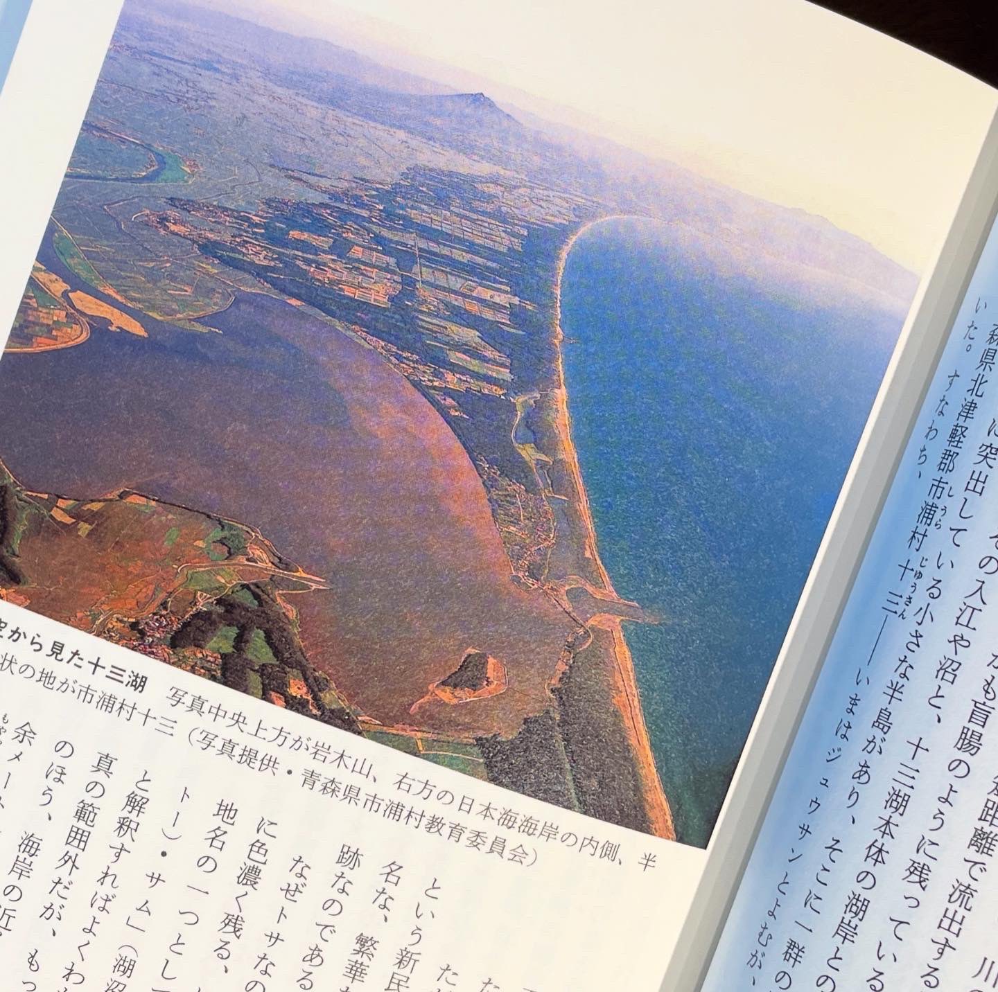 古書からすうり on X: 