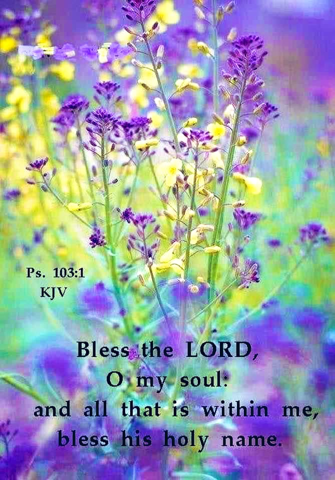 Psalm 103:1
Bless the Lord, O my soul: and all that is within me, bless His holy name.