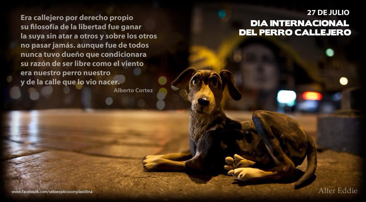 altereddie's tweet image. Hoy es el día internacional del perro callejero.