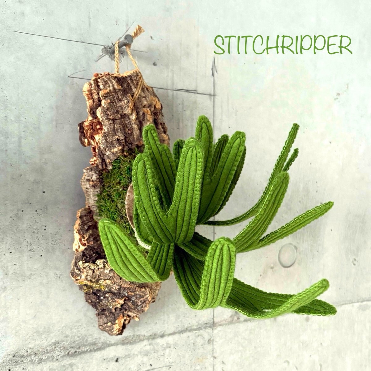 StitchripperD's tweet image. 🌵 梱包発送準備中のビカクシダ2種です
香川県の文遊館さんで開催中の《昆虫と植物展》 に8月から出展させていただきます
@bunyuukan
▫️ 7/19日(土)~8/31(日)
▫️株式会社文遊館内ギャラリースペース
▫️香川県東かがわ市湊685-1
#platycerium #フェイクグリーン #fakegreen